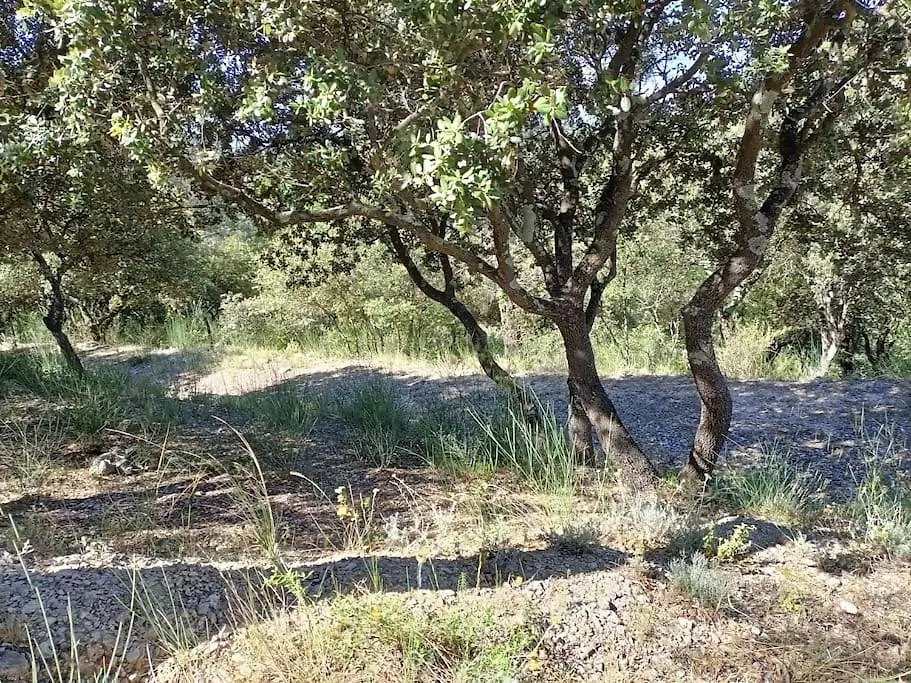 Hébergement de vacances Maison De Vacances La Provence Puget
